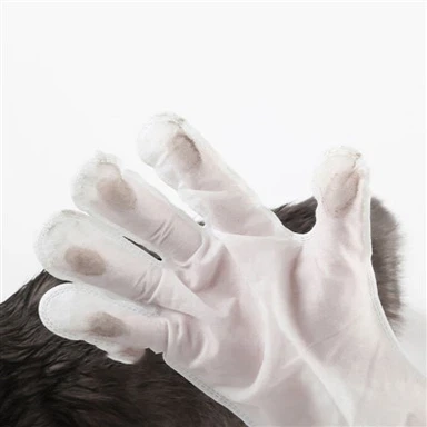 Γάντια μιας χρήσης για κατοικίδια